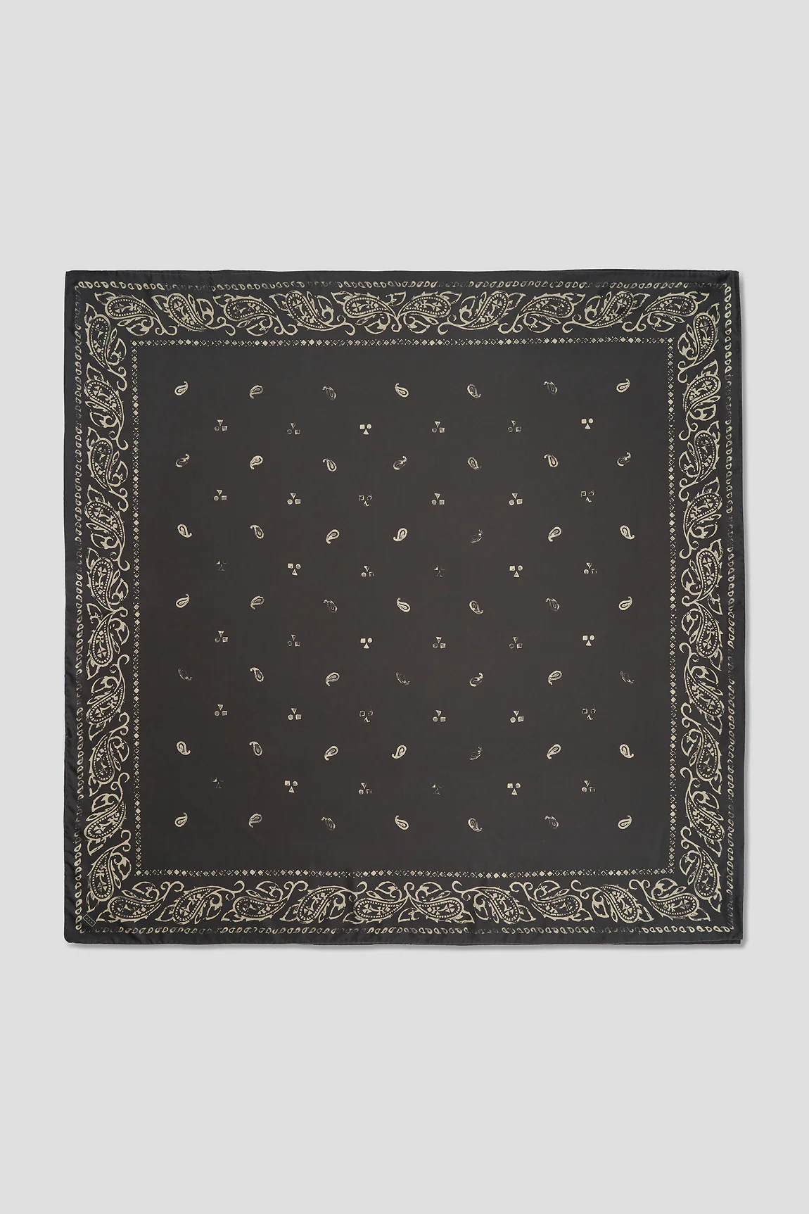 The Pareo - Image 7